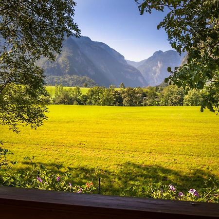 Starbauer Apartment Golling an der Salzach Exterior foto