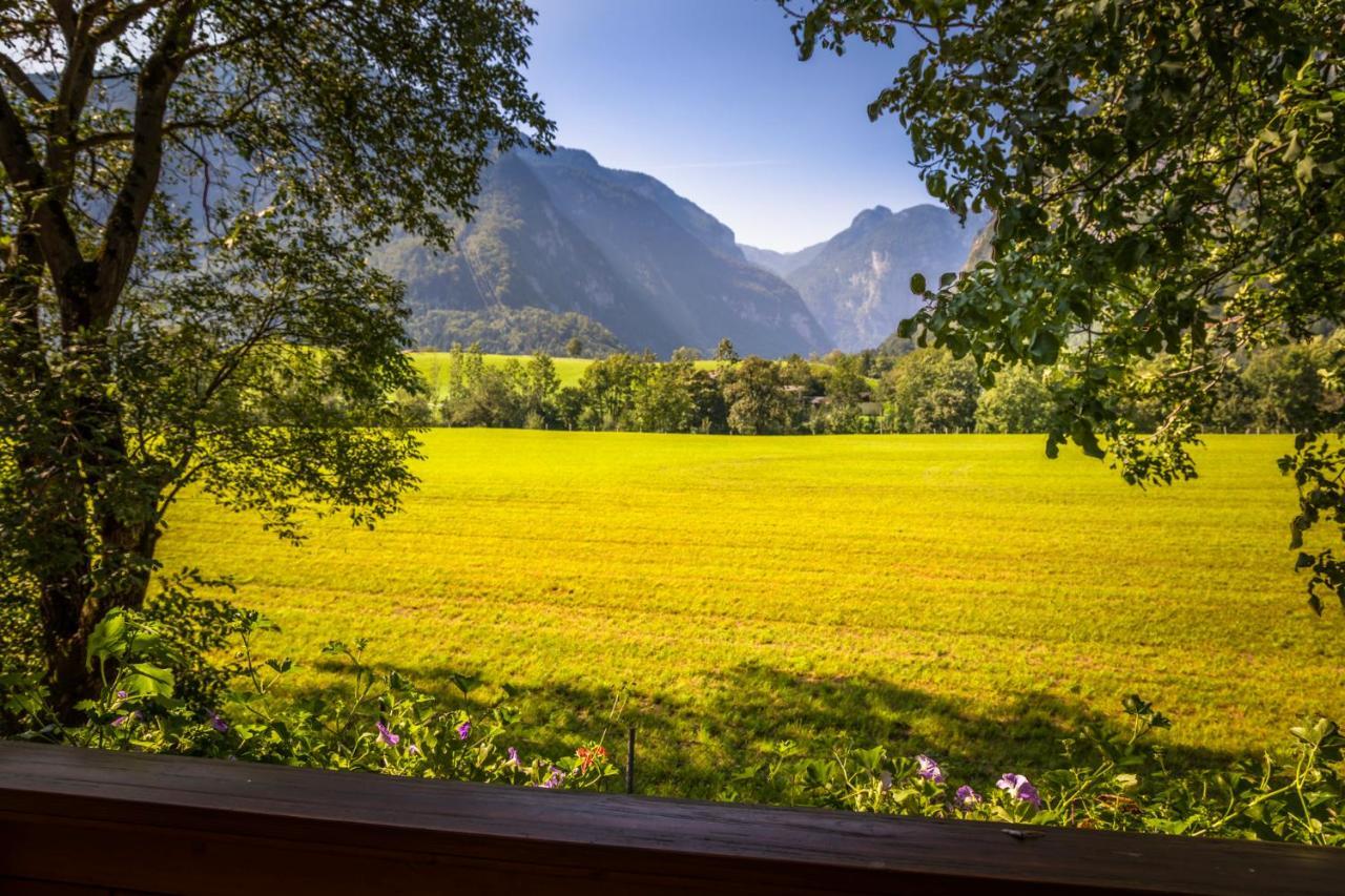 Starbauer Apartment Golling an der Salzach Exterior foto