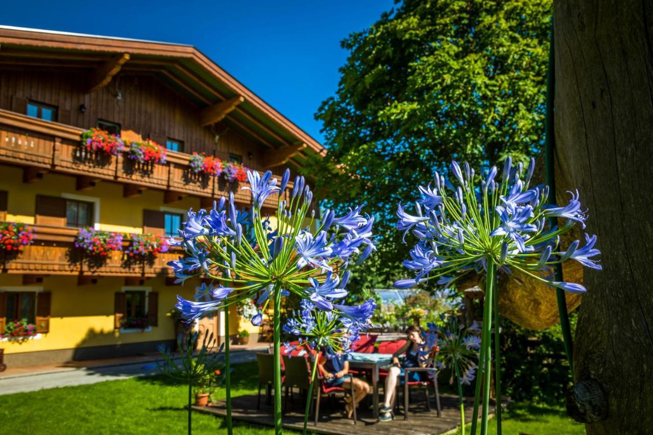 Starbauer Apartment Golling an der Salzach Exterior foto